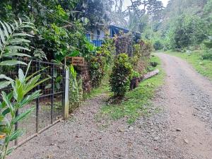 ein Zaun am Rande eines Feldwegs in der Unterkunft Casa MarMaria in Puerto Viejo
