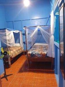 ein Schlafzimmer mit zwei Etagenbetten mit Moskitonetzen in der Unterkunft Casa MarMaria in Puerto Viejo