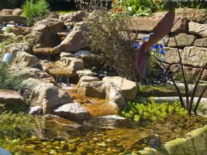 a garden with a pond with rocks and flowers at Apartment mit Pool und überdachtem Balkon by Interhome in Beerfelden