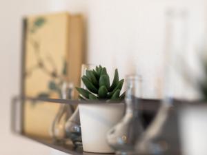 a plant in a pot on a shelf in a mirror at Apartment Apartment 54 by Interhome in Bad Arolsen +24 photos
