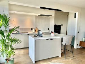 a kitchen with white cabinets and a table and a plant at Joy at sea in Bredene-aan-Zee +24 photos