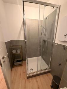 a shower with a glass door in a bathroom at Harlehaus Nina in Friedrichsschleuse +16 photos