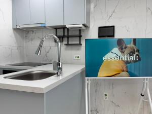 a picture of a dog sitting in a kitchen at 2BR City Hall Station 6min, Myeongdong & Namsan Stay in Seoul +28 photos