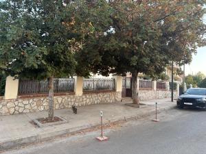 a black cat sitting on a sidewalk under two trees at Appartement Les Rosiers in Ifrane