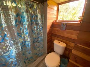 a bathroom with a toilet and a shower curtain at Natures Balcony Reclaimed Wood Cabin with Villarrica Volcano and Majestic Peak Views in Pucón +24 photos