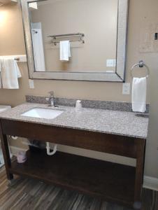 a bathroom with a sink and a mirror at Gated 1 King BR1 Bath Apt with Full Kitchen 124 in Baton Rouge
