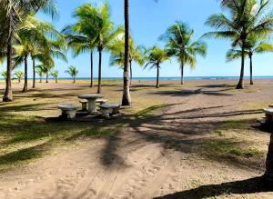 a picnic table on a beach with palm trees at Paraiso En-suite #3 in Parrita