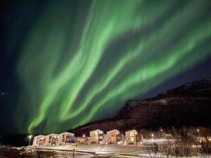 an image of the aurora in the sky at Appartment in beautiful nature in Bodø