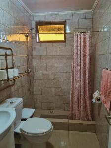 a bathroom with a toilet and a shower at cabañas Dany in Concón +12 photos