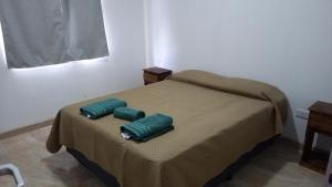 two green pillows on a bed in a room at Tunquelen II in Colorado River