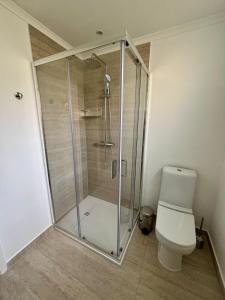 a shower stall in a bathroom with a toilet at Santos Living Rentals in Funchal +7 photos