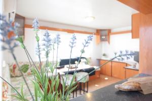 A kitchen or kitchenette at Camping Riembau