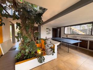 a living room with a table and some plants at Hotel Honey Bee in Alajuela