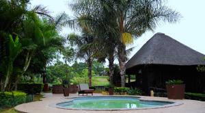 a small swimming pool in a yard with a thatch hut at Palmwag Tzaneen in Tzaneen