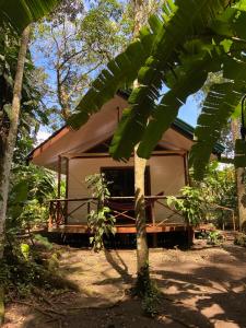 a house with a palm tree in front of it at Monkey House, Monterrey in San Cristóbal