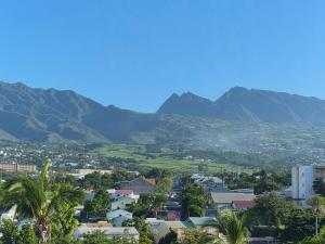 a city with palm trees and mountains in the background at Au Franciscea, climatiseurs, centre ville, sud in Saint-Louis