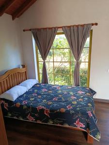 a bed in a bedroom with a window at Moss in Colombia