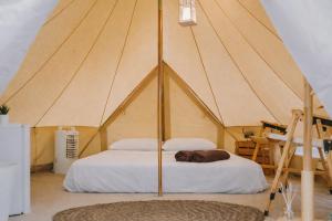 a dog laying on a bed in a tent at Secret View Glamp - La Mariposa in Alghero