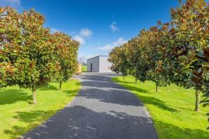 a road with trees in the middle of a field at Mill Road Retreat Ohaupo in Kaipaki