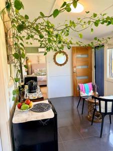 a kitchen with a counter top with fruits on a table at Mystic Garden Private Entry & Bath, Pet Friendly in Wentworthville