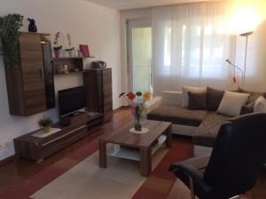 ein Wohnzimmer mit einem Sofa und einem TV in der Unterkunft Fiona in Locarno