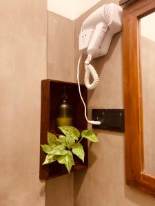 a phone on a wall with a plant in a box at Thaproo Bay Hiriketiya in Dickwella