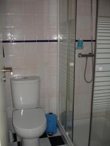 リスボンにあるApartamento Beco do Sapatoのバスルーム(トイレ、ガラス張りのシャワー付)