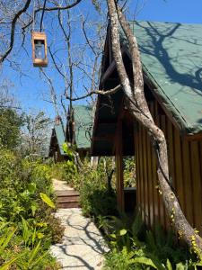 a tree house with a staircase leading up to it at City Dodge Home in Xuan An
