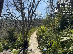 a garden path with a tree in the middle at City Dodge Home in Xuan An