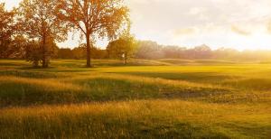 Ảnh trong thư viện ảnh của Bed & Breakfast Monument076 Etten-Leur ở Etten-Leur