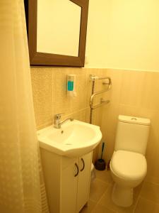 a bathroom with a sink and a toilet and a mirror at Buožinta in Buožėnai +9 photos