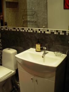 a bathroom with a sink and a toilet and a mirror at M. Mažvydo al. butas in Klaipėda