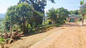 a dirt road with trees on the side of a house at Stille Uitsig Hazyview in Hazyview