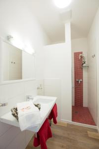 La salle de bains blanche est pourvue d'un lavabo et d'une douche. dans l'établissement Artem Orbis, à Iéna
