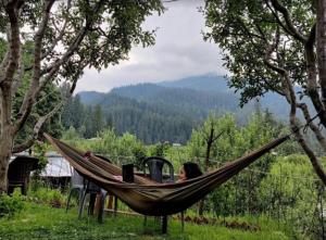 a woman sitting in a hammock with a book at Majestic House , Kalga , Kalgha in Kalgha