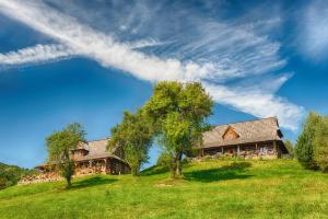 a house on top of a grassy hill at Maciejewka in Zahoczewie