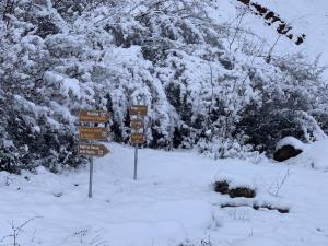 a sign in the snow with snow covered trees at Bujtina Shpella e Plakës Çerçan Librazhd in Librazhd