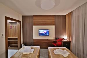 TV a/nebo společenská místnost v ubytování Hotel Alexander