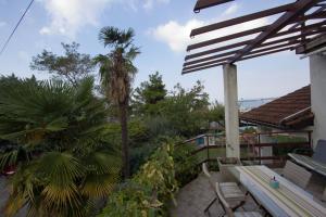 a patio with a palm tree and a bench at Apartments Petrič in Koper