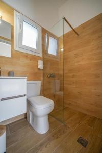 a bathroom with a toilet and a glass shower at Cozy flat studio in Galaxidi