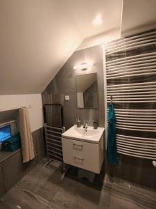 a bathroom with a sink and a mirror at Apartmány v Bývalém mlýně in Rokytnice v Orlických Horách