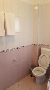 伯德古拉的住宿－Apartment Marta，浴室配有白色卫生间和盥洗盆。