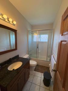 a bathroom with a sink and a toilet and a shower at Villa Paradiso in Basseterre