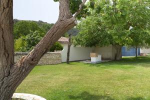 A garden outside Villa Tipica Casa Tua