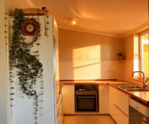 a kitchen with a plant hanging on the wall at The tiny homes at The Original Farm in Yass