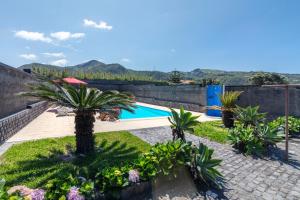 a garden with a swimming pool and some plants at Heated Saltwater Pool-Private Beachside Oasis in Mosteiros