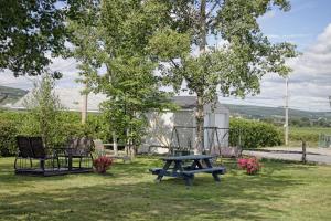 a picnic table and chairs in a yard at Motel Bellevue in Saint-Joseph-de-Beauce