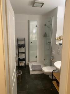a bathroom with a shower and a toilet and a sink at Helle Souterrainwohnung mit Komfort in Munich