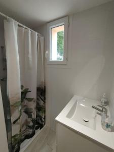 a white bathroom with a sink and a shower at Entre Terre et Camargue- Studio de Charme in Le Cailar