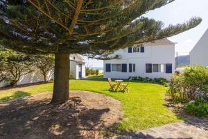 a pine tree in the yard of a house at Unforgettable Ocean Views-Spacious Seaside Villa in Mosteiros